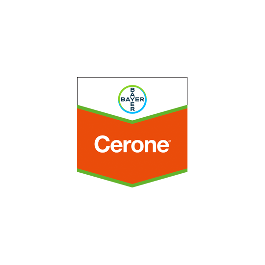 Cerone 480 SL