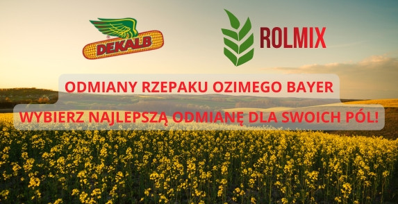 Odmiany rzepaku ozimego od Bayer - wybierz najlepszą odmianę dla swoich pól!